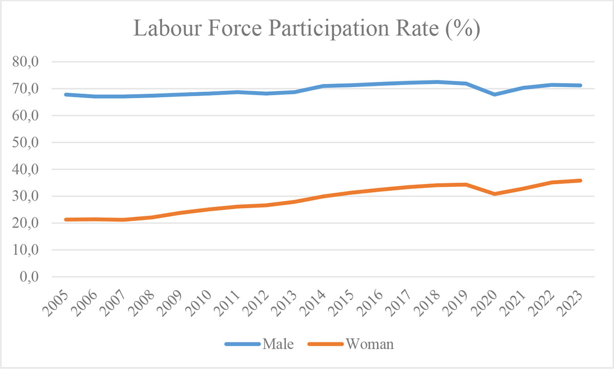 Women’s Participation in Labour Force in Türkiye: An Assessment of the ...