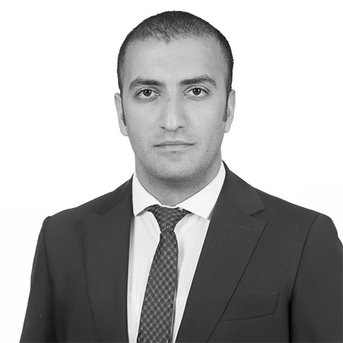 Picture of Mustafa Gül